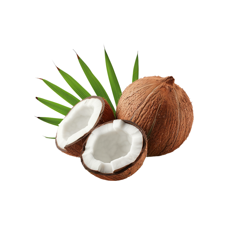 Leche de coco en polvo