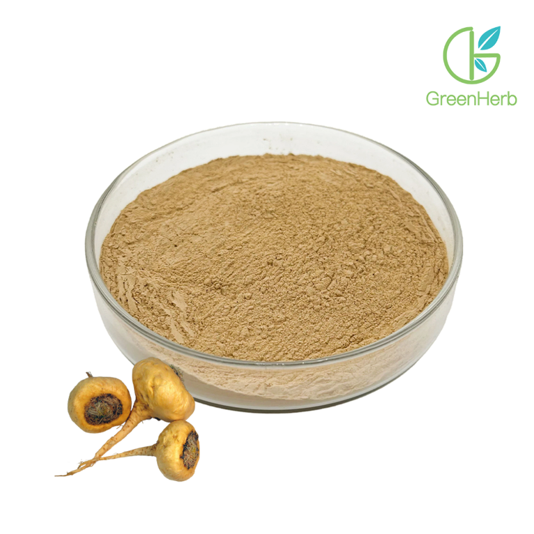 Extracto de maca en polvo