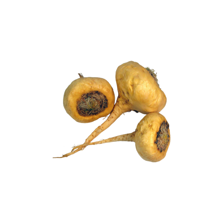 Extracto de maca en polvo