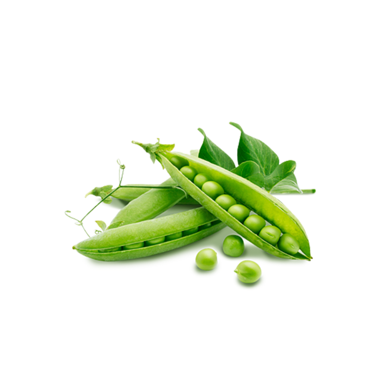 Proteína de guisante en polvo 85%