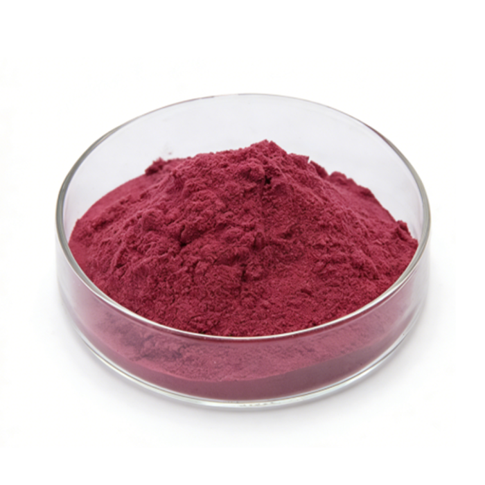 Rhodiola Rosea Extract