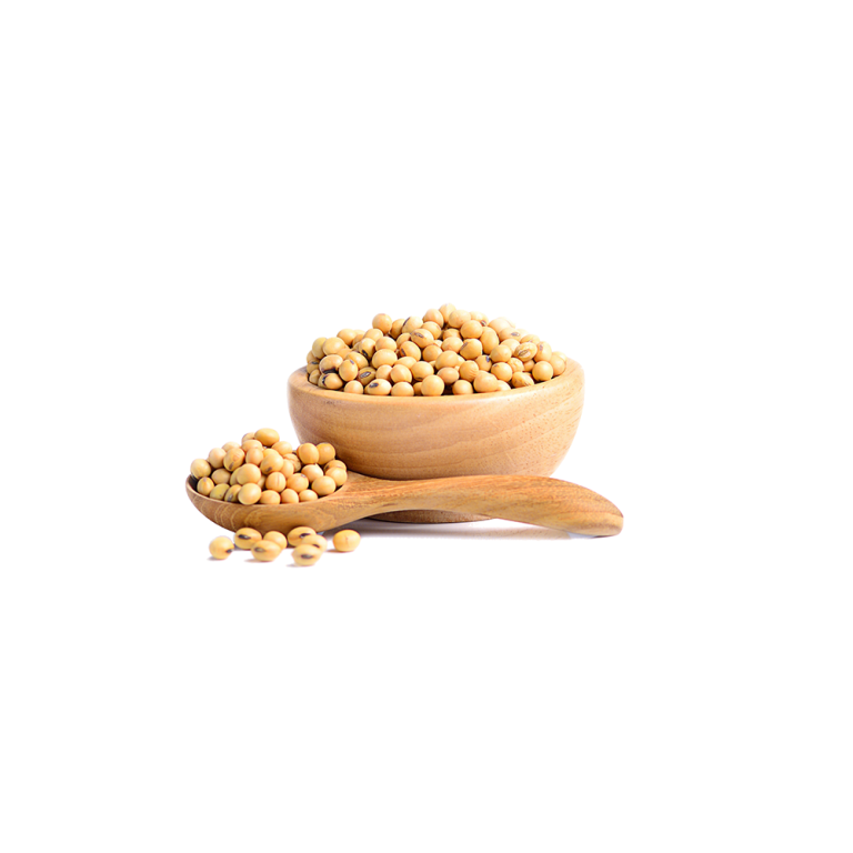 Proteína de soja aislada en polvo