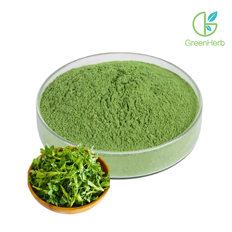 Primer plano de la materia prima: polvo de alfalfa