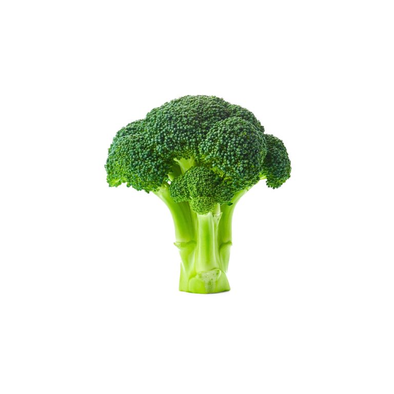 Fotografía macro de un florete fresco de Brassica oleracea var. italica