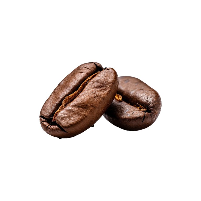 Fotografía macro de trocitos de semillas fermentadas de Theobroma cacao