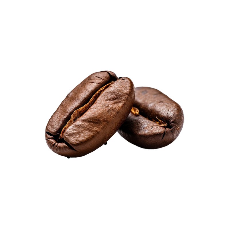 Fotografía macro de trocitos de semillas fermentadas de Theobroma cacao