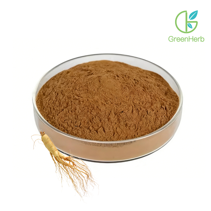 Primer plano de la materia prima del ginseng en polvo