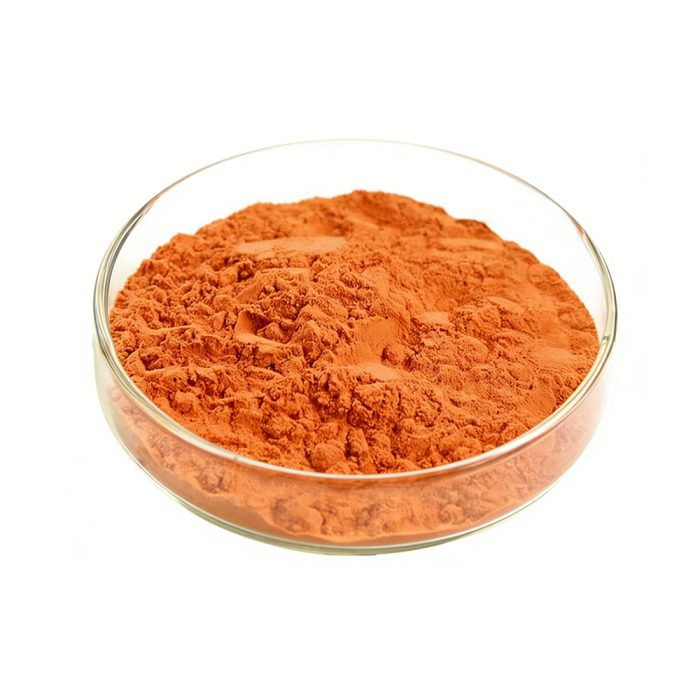 Bright orange-red Goji Berry Powder fine particle detail