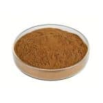 Dark red Schisandra Extract fine powder detail