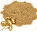 Crema de extracto de maca en polvo, de color marrón amarillento, primer plano
